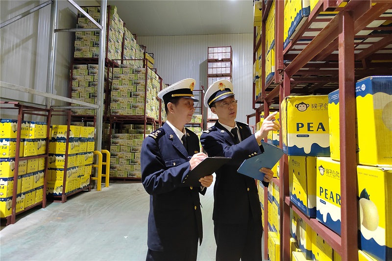 金秋鮮梨走四海（圖）